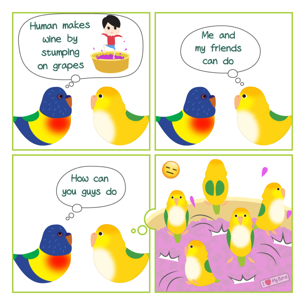 A comic about ancient wine making by lorikeet and caique.