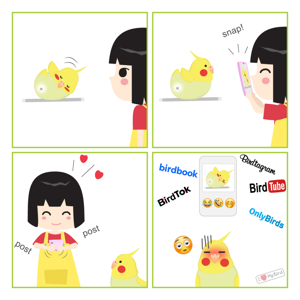 Cockatiel comic about social media.