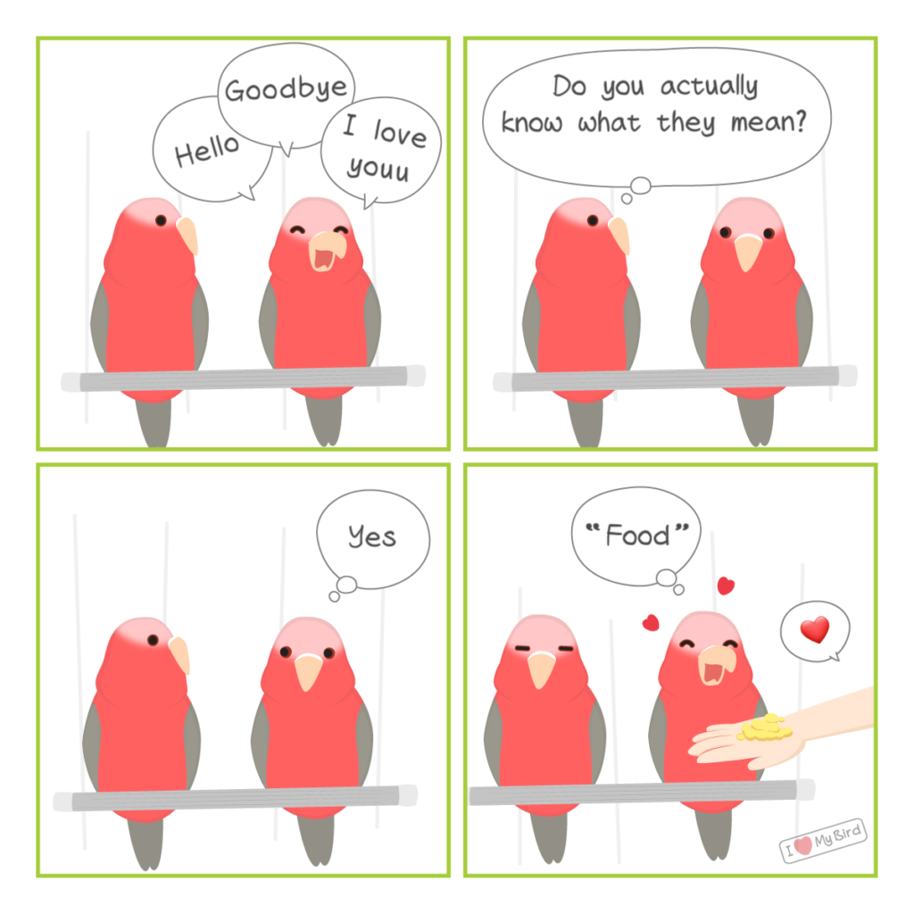 A comic of two gala parrots speaking.